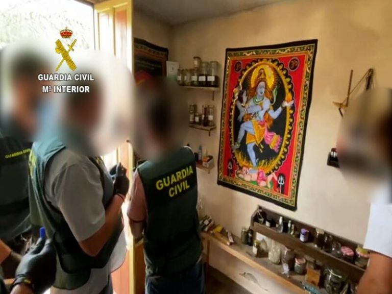 Detienen a un matrimonio que hacía rituales con ayahuasca y escamas de sapo bufo
