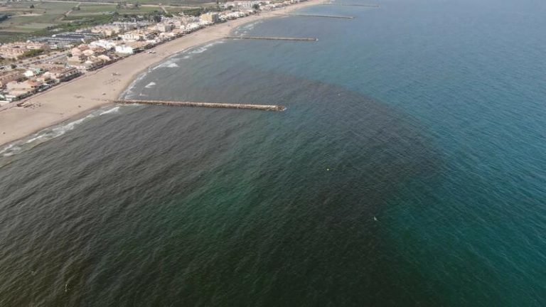 El análisis del agua atribuye a una microalga la mancha que obligó a cerrar playas en Valencia