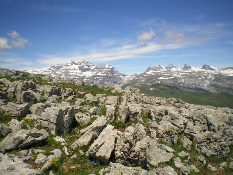 La gestión de un 30% de la tierra estratégicamente situada para su conservación salvaguardaría el 70% de las especies