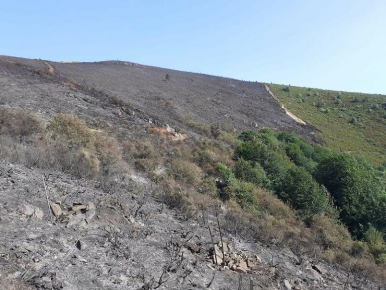 Extinguido el incendio forestal de Posadas y Azárrulla