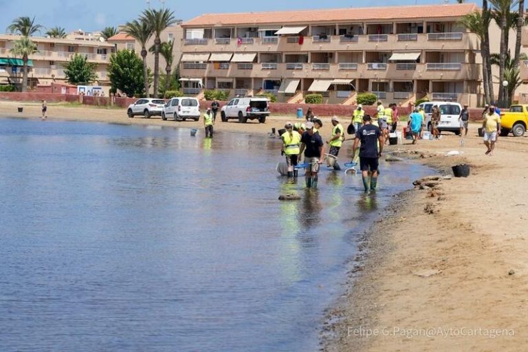 Colegio Biólogos de Murcia reclama que se reduzcan los regadíos ilegales «sin más demora»