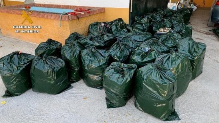 11 detenidos tras desmantelar una importante organización polaca de narcotraficantes