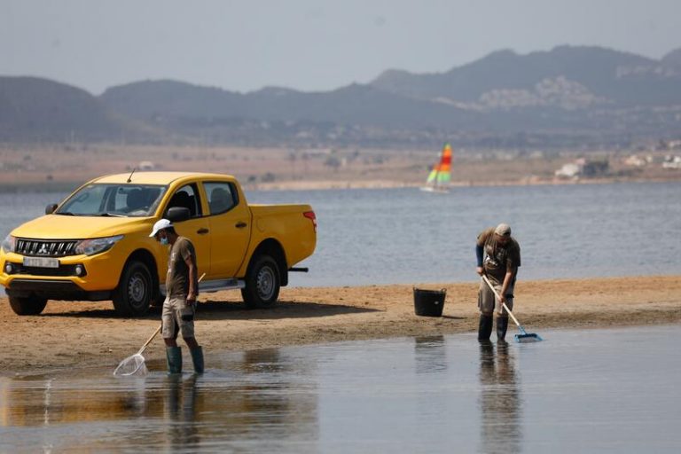 Cs reprocha a PP y PSOE que se culpen mutuamente de la situación del Mar Menor