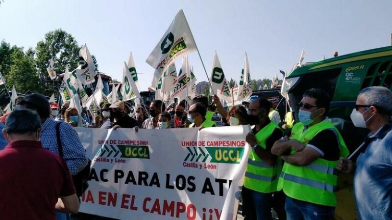 Unión de Uniones pide a Planas que baje a 1.250 euros el mínimo para ser considerado agricultor profesional