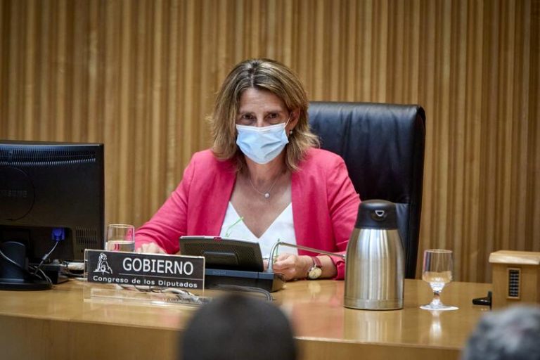 Ribera apoya crear una comisión en el Congreso para estudiar las causas de la subida de la luz