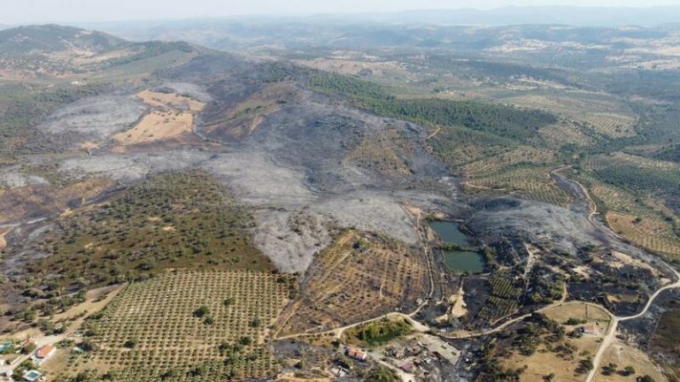 Andalucía pide al Gobierno rectificar el criterio propuesto para solicitar ayudas por incendios