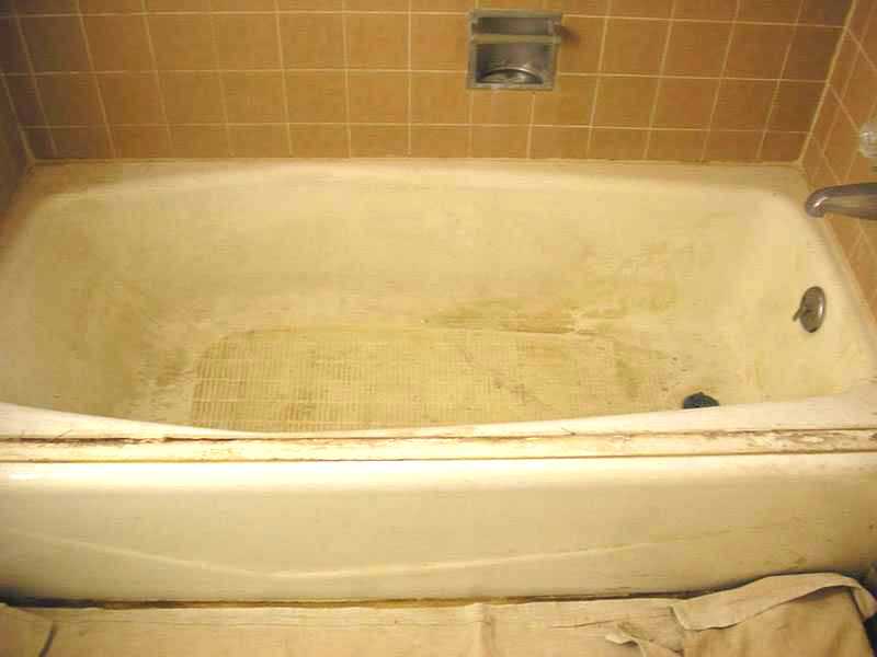Todos perrito cráter Cómo limpiar y desinfectar la bañera o la ducha