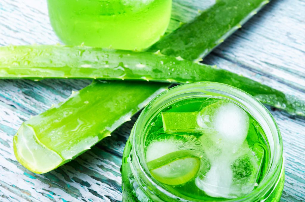 ¿Tienes Caspa? Remedios Para Fulminarla De Tu Cabeza 2 Aloe Vera, Remedio Natural Por Excelencia