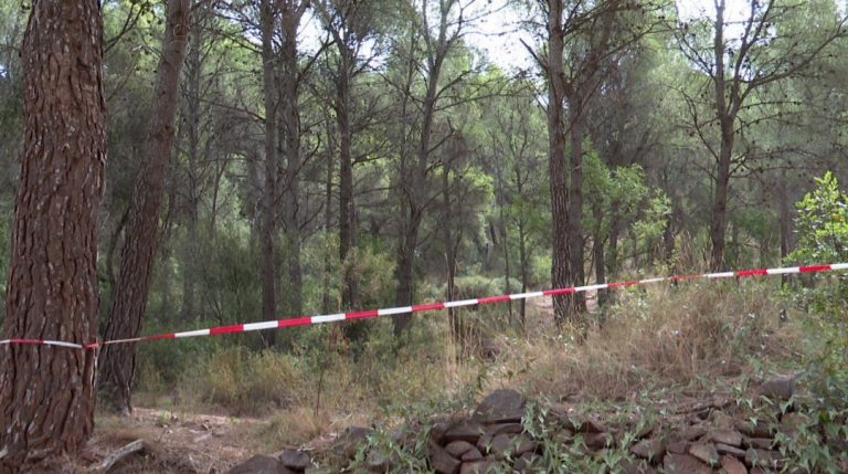 Andalucía pide «prudencia» ante posibles incendios forestales por ola de calor