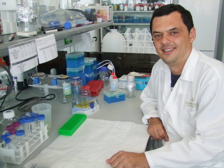 Avanzan en el conocimiento de los mecanismos implicados en el desarrollo de la esquizofrenia