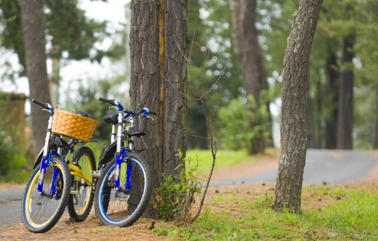 Cómo cuidar tu bicicleta