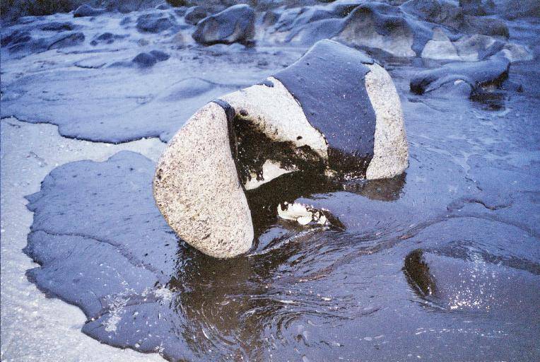 Bacterias marinas del Ártico canadiense son capaces de biodegradar el petróleo
