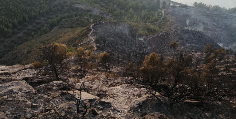 Controlado el incendio de la Pobla de Massaluca tras quemar 63 hectáreas