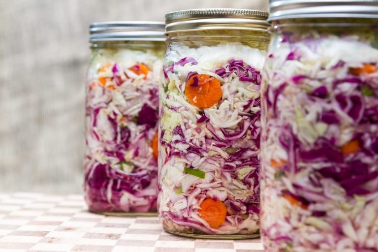 ¿Cuánto tiempo duran los alimentos probióticos y fermentados?