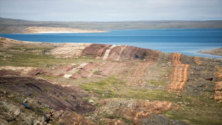 Descubren que el pico de oxígeno coincidió con una antigua extinción global