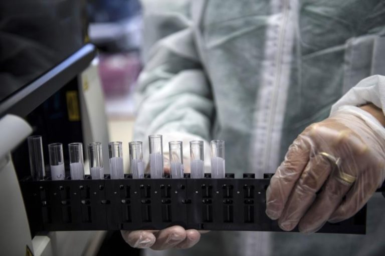 Descubren que la proteína p53 regula la producción de glucosa