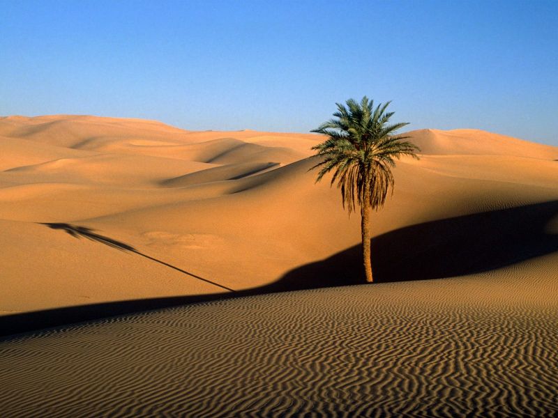 Desierto