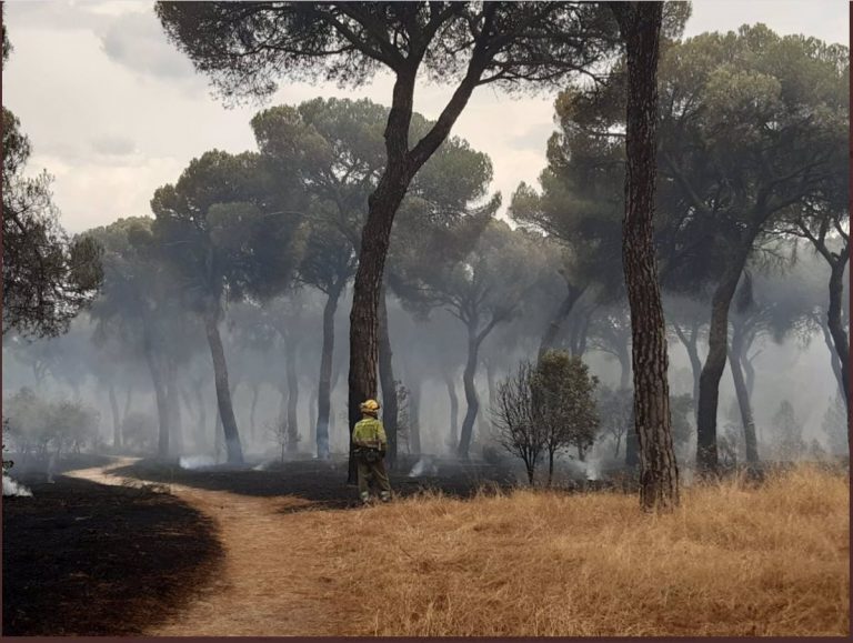 El CSIC participa en el sexto informe del IPCC con un Atlas Interactivo