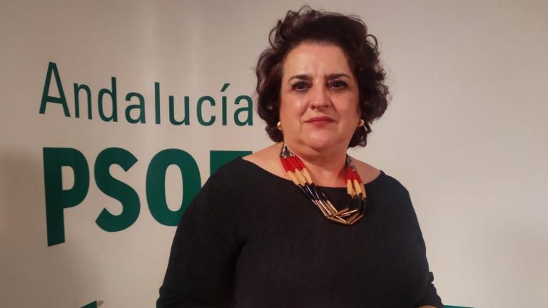 El PSOE denuncia que la Alhambra tiene una situación económica «crítica»