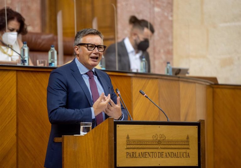 El Parlamento andaluz convalida el decreto ley al que Vox había anunciado voto en contra