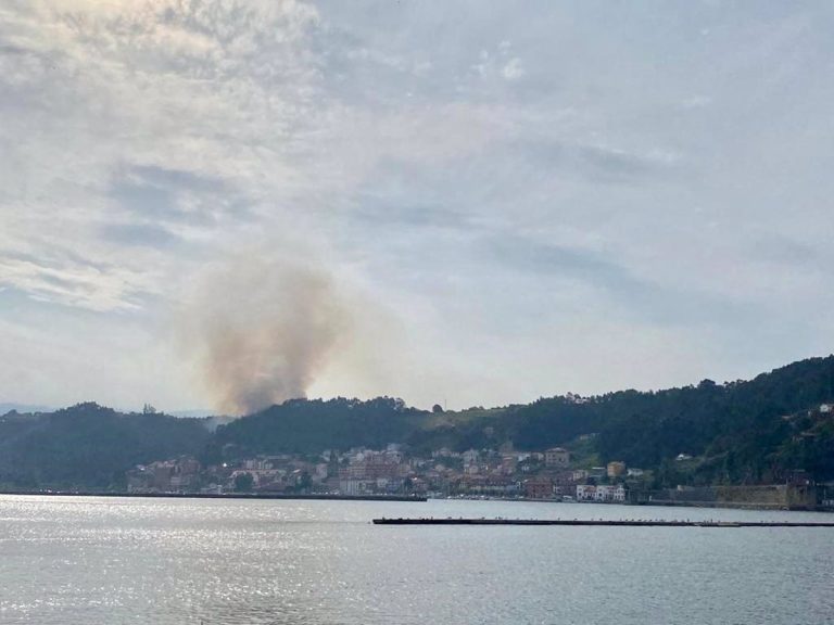 El fuego en España se reduce un 20% en 2021 hasta el 1 de agosto