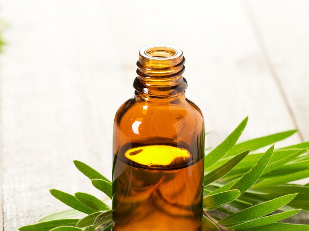 El Aceite De Árbol Del Té Y Sus Propiedades