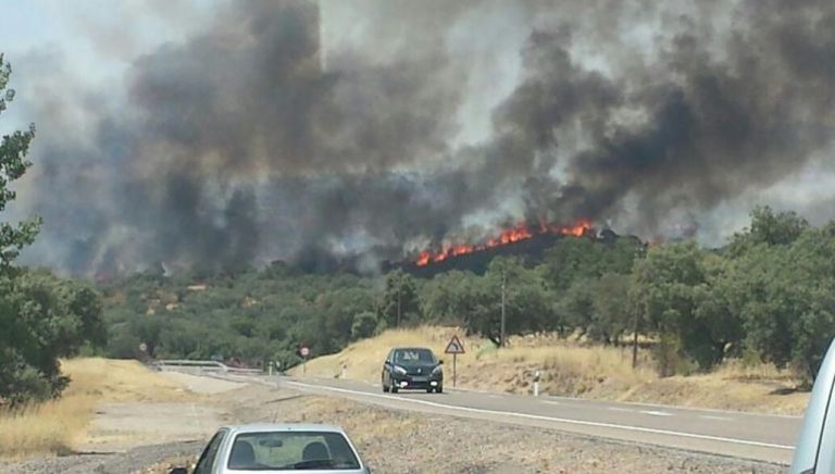 En libertad un joven detenido tras «numerosos» incendios forestales en El Garrobo