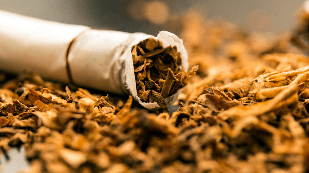 ¿El Humo Del Tabaco Afecta Otros Órganos?