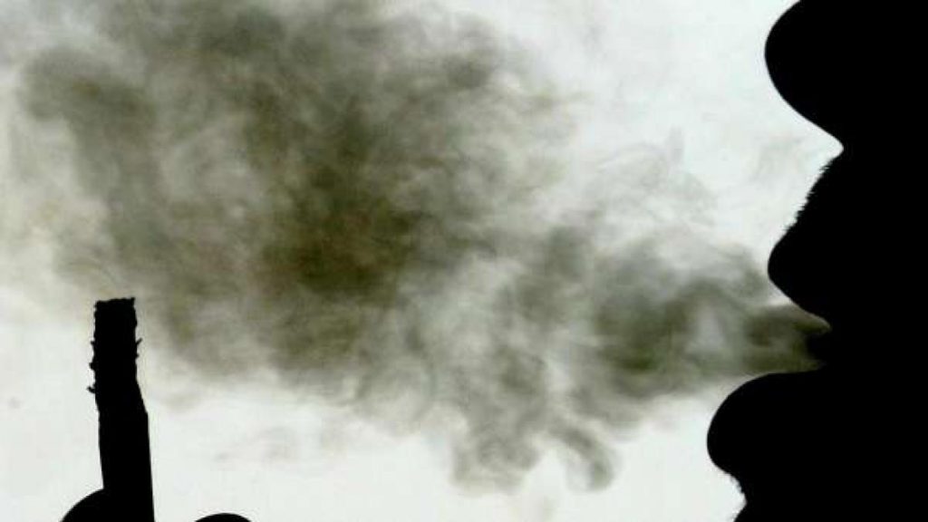 ¿Cuál Es La Composición Del Tabaco?