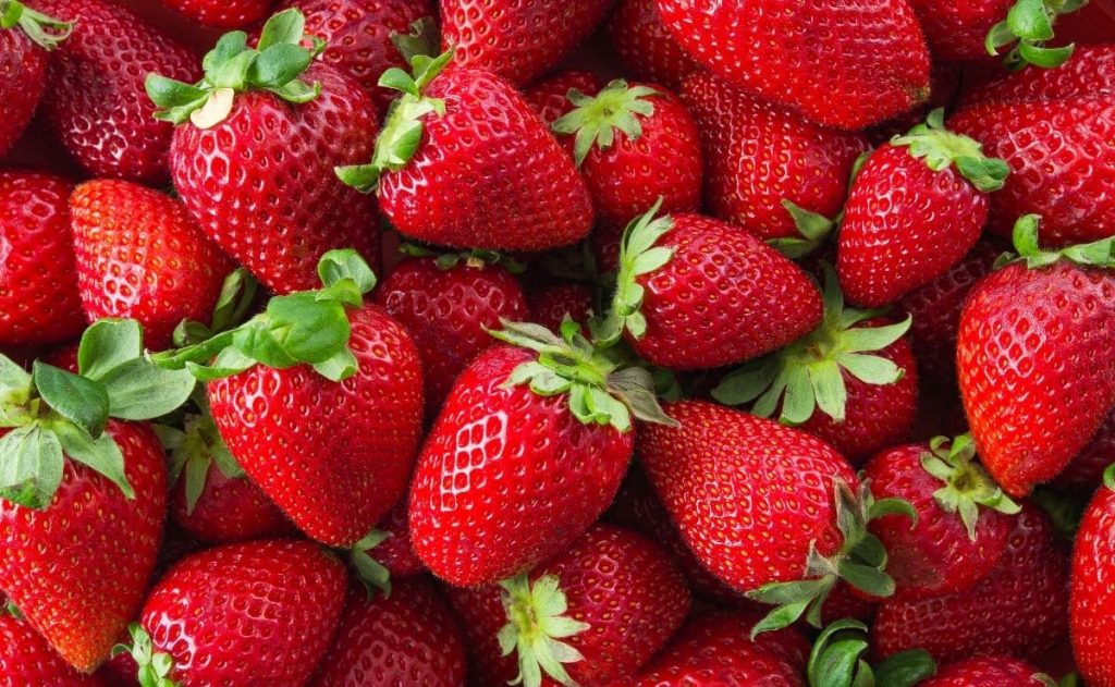 Las Fresas Y Su Proceso De Congelación