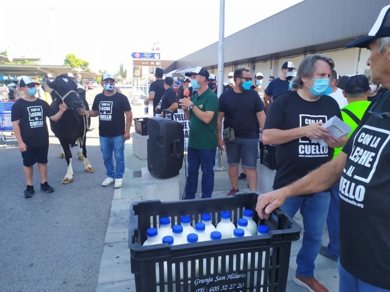 Ganaderos advierten de los bajos precios de la leche