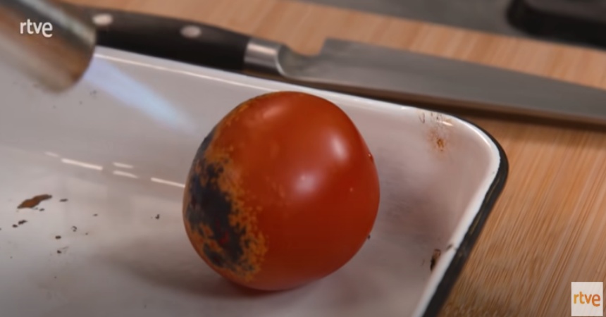 Tomate