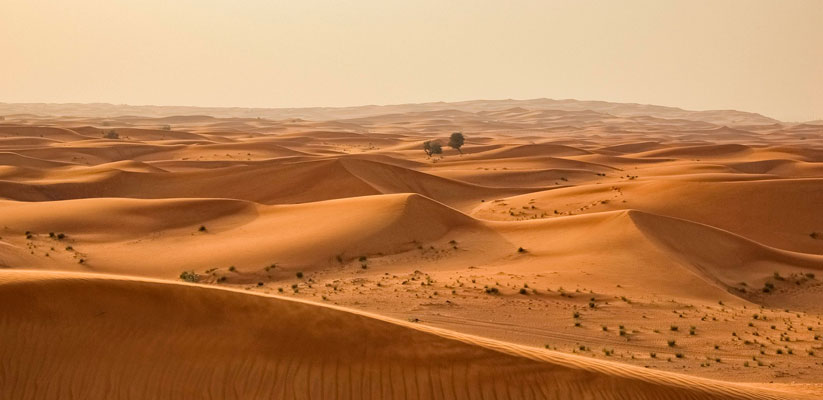 El Desierto Del Sahara