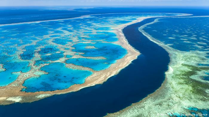 La Gran Barrera De Coral