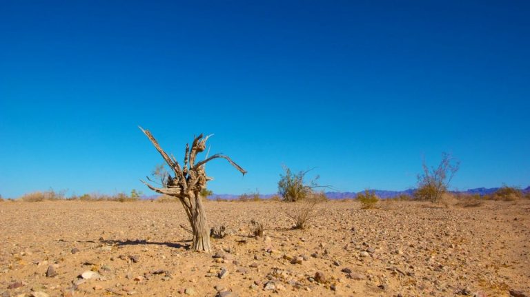 Julio de 2021 fue el tercero más seco del siglo XXI en España