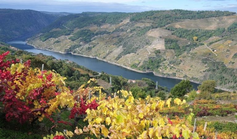 La Xunta se reafirma en su «compromiso» con la candidatura de la Ribeira Sacra a Patrimonio Mundial