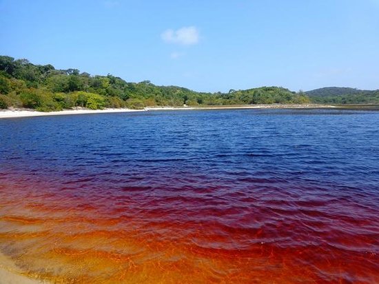 Conocer Un Poco Más De La Peculiar Laguna De Coca Cola En Brasil