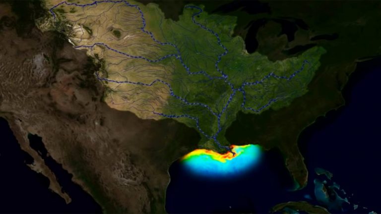 La zona muerta del Golfo de México se mantiene sobre más de 10.000 km2