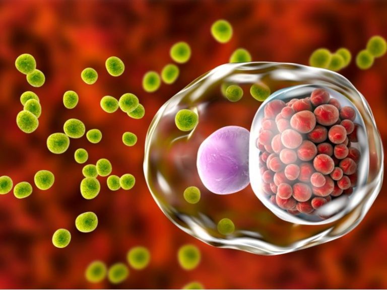 Las infecciones de transmisión sexual conforman una «epidemia que está lejos de controlarse»