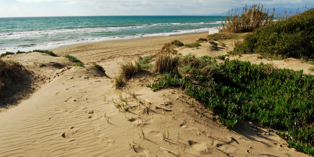 Otra De Las Playas Desconocidas De Andalucía: Playa De Artola O Cabopino
