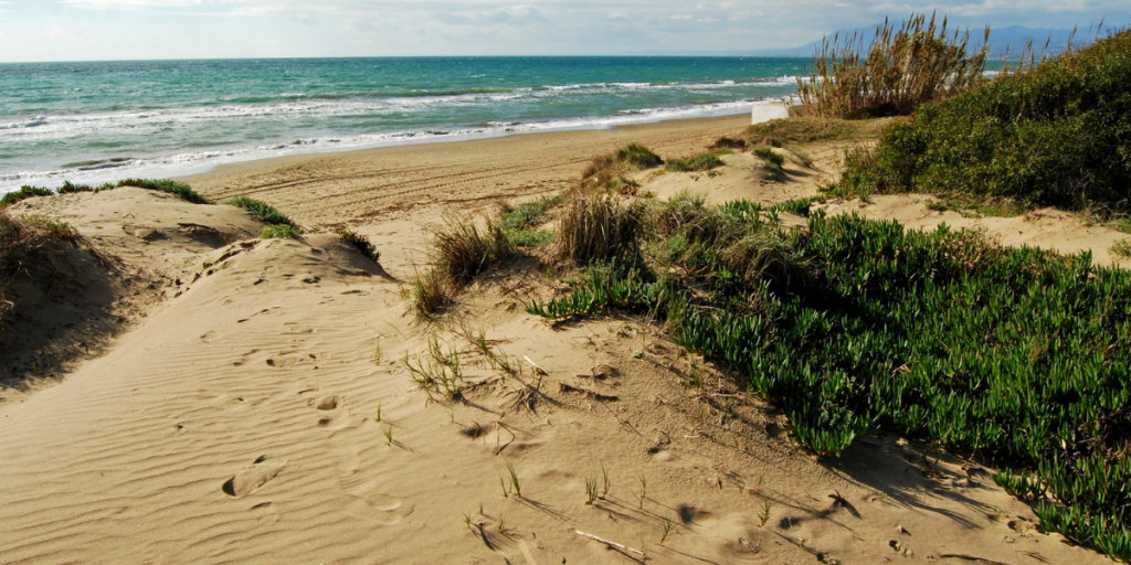 Esta Es La Playa Más Larga De España