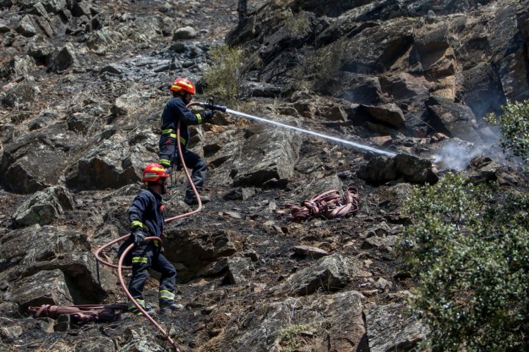 Madrid lleva en este año un total de 220 incendios, 52 más que el año pasado