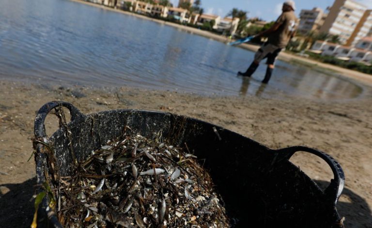 Geólogos: «Difícilmente se recuperará el acuífero» pese a reducir el impacto de la agricultura en Mar Menor