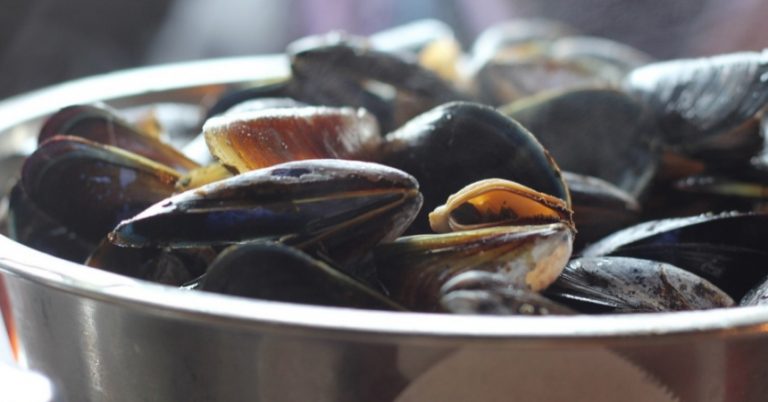 Mejillones: esta es la cantidad de agua que debes poner para cocerlos ‘de 10’