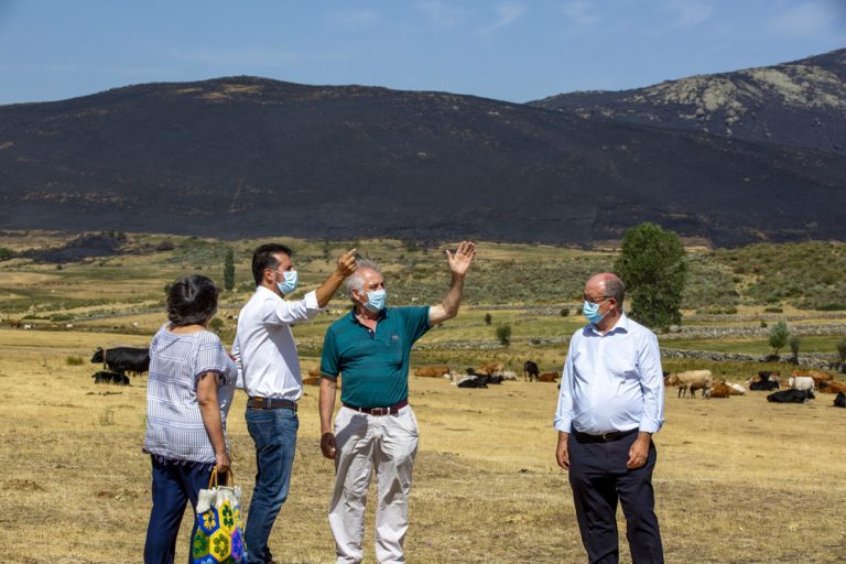 PSOE pide un plan especial de recuperación para las zonas afectadas de Navalacruz