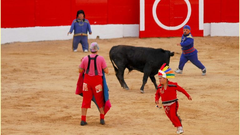 Personas con discapacidad piden que se prohíban los «espectáculos taurinos denigrantes»