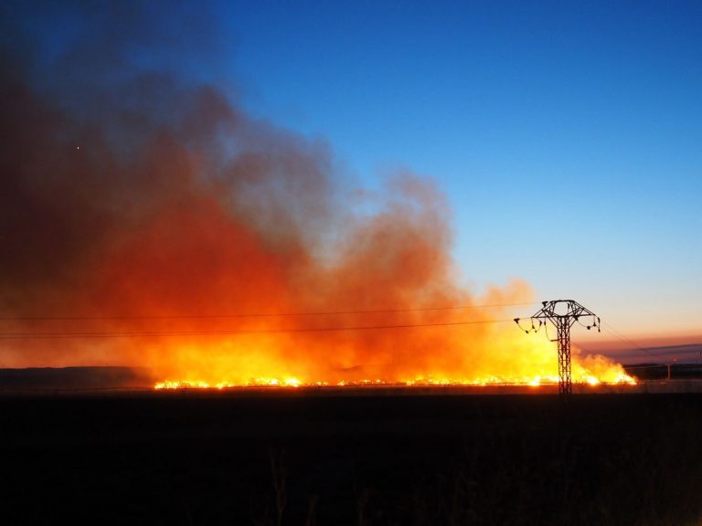 Protección Civil mantiene la alerta por altas temperaturas y riesgo extremo de incendios