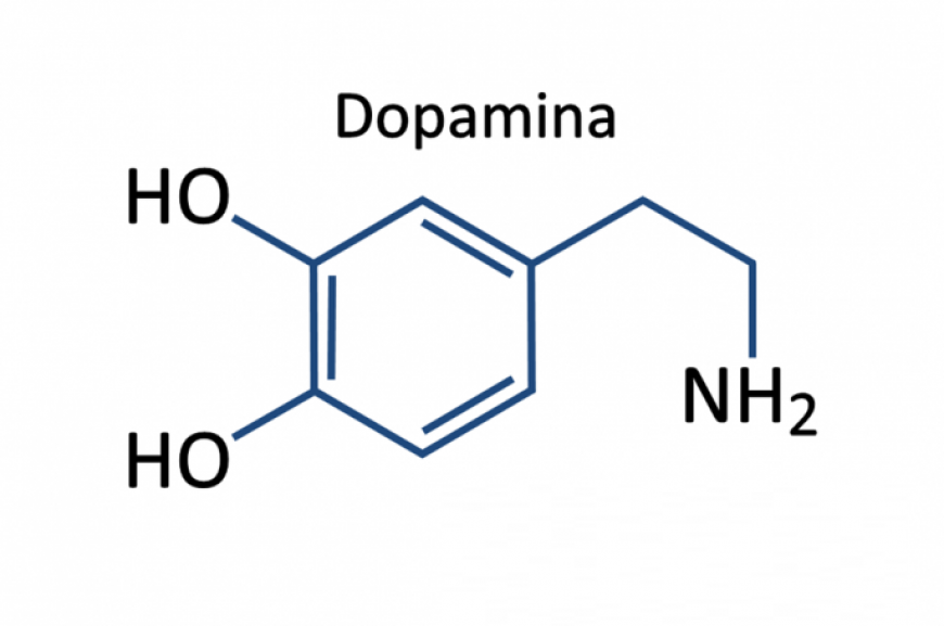 Que Es La Dopamina 1