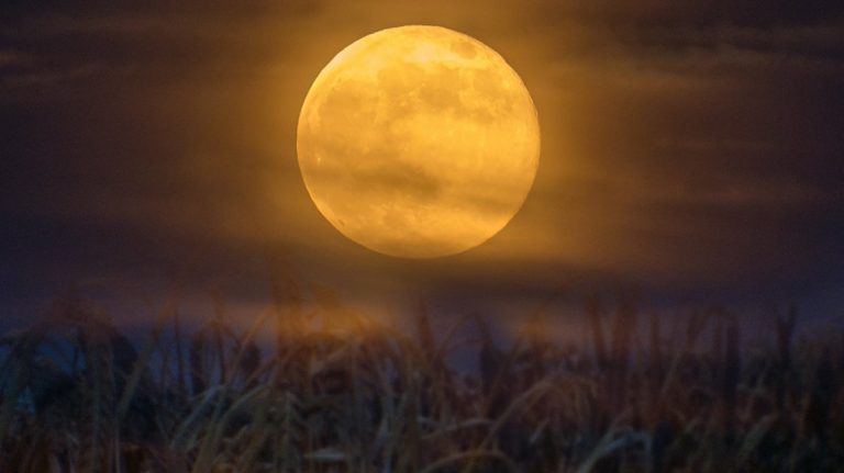 Qué es la luna de grano