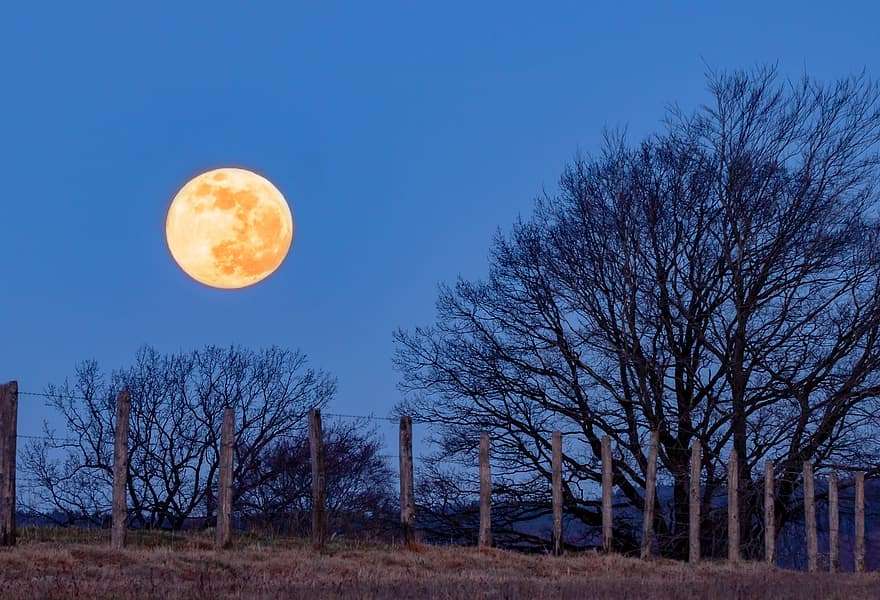 Qué Es La Luna De La Cosecha